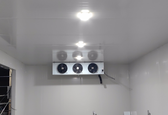 茶葉冷庫的溫度是多少？看完這篇秒懂！