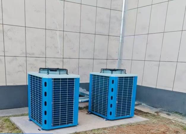 冷庫玉米保鮮儲(chǔ)存方法全解析：從預(yù)冷到氣調(diào)的細(xì)節(jié)把控